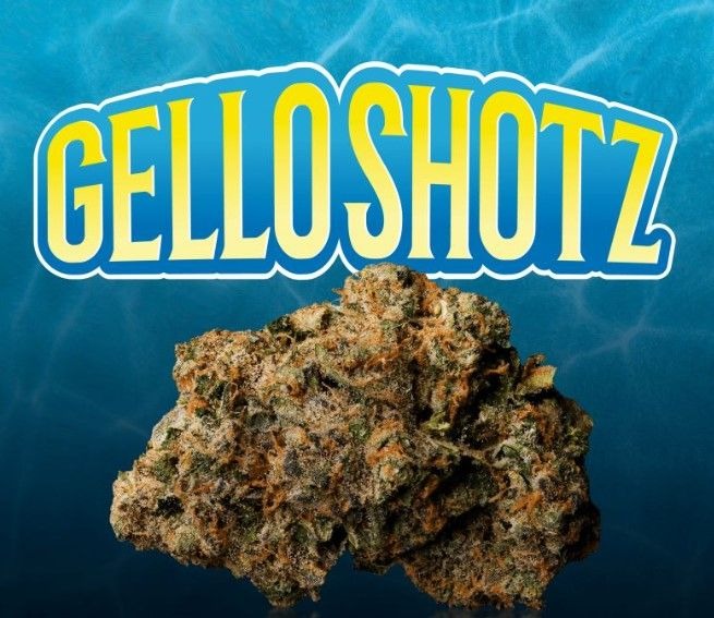Photograph of product: Seed Junky - Gello Shotz Pre-Pack (S) - 3.5g