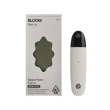 Photograph of product: Bloom Space Face 1g Live Resin Disp Vape