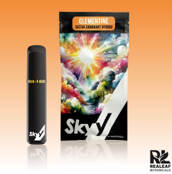 Photograph of product: Clementine Disposable 2g