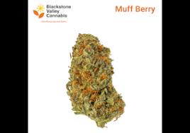 Photograph of product: Blackstone Valley | Muff Berry | - 7g