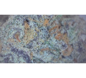 Photograph of product: Gushmints - FLOWER (SMALLS) - 28g