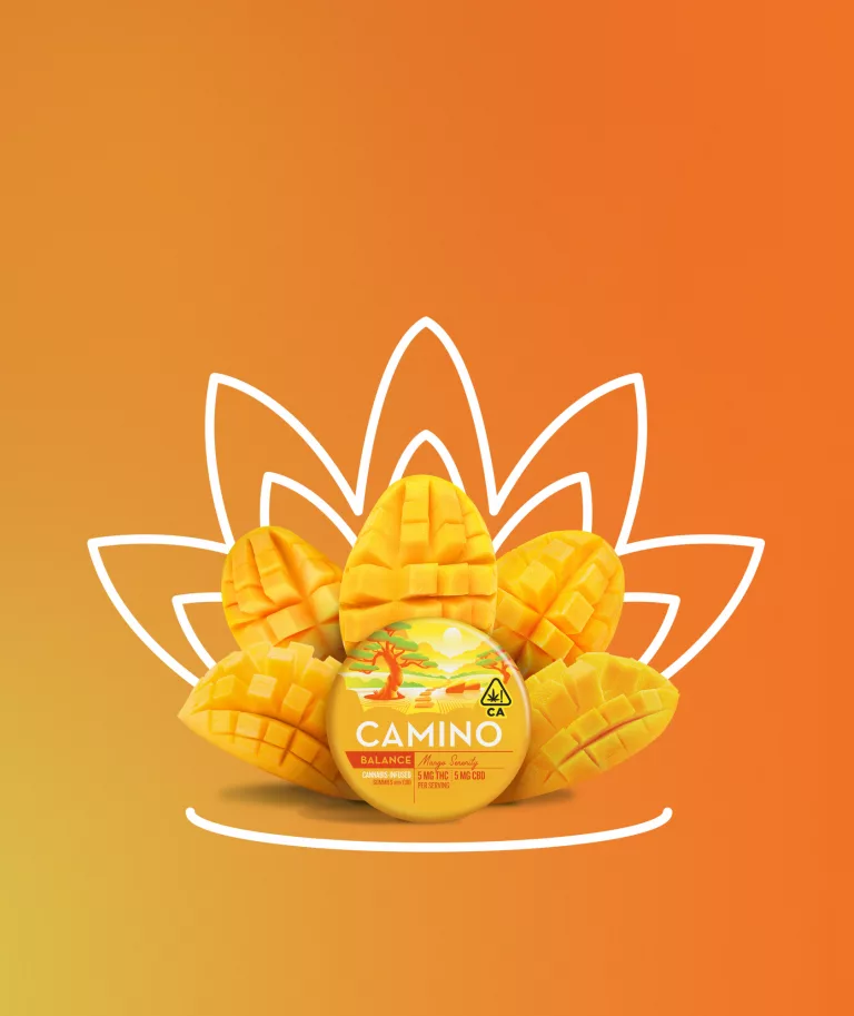 Photograph of product: Camino Mango Serenity (H) 1:1 THC:CBD Gummies 5mg 20pk