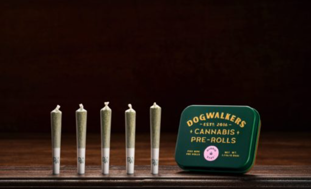 Photograph of product: Dogwalkers 5 Pack Minis Jet Fuel (H) 00820