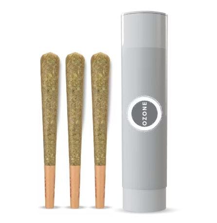 Photograph of product: Applescotti - 3 Pack