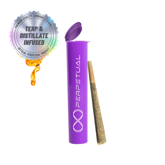 Photograph of product: Perpetual - Infinity Roll - Durban Poison - Infused Pre-Roll Pack - Oui'd - 1.5g