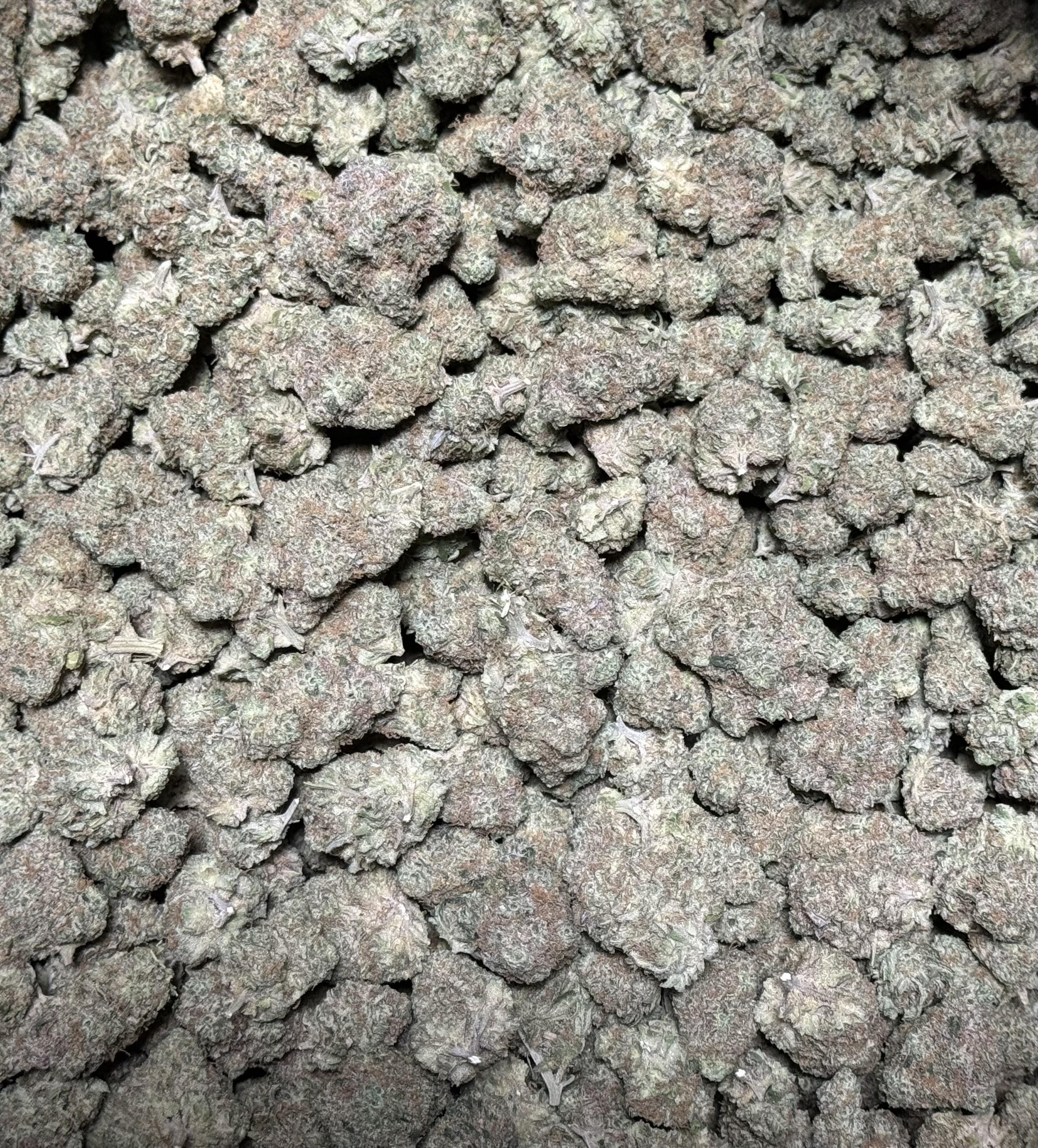 Photograph of product: Forge - - Northern Lights - 3.5g