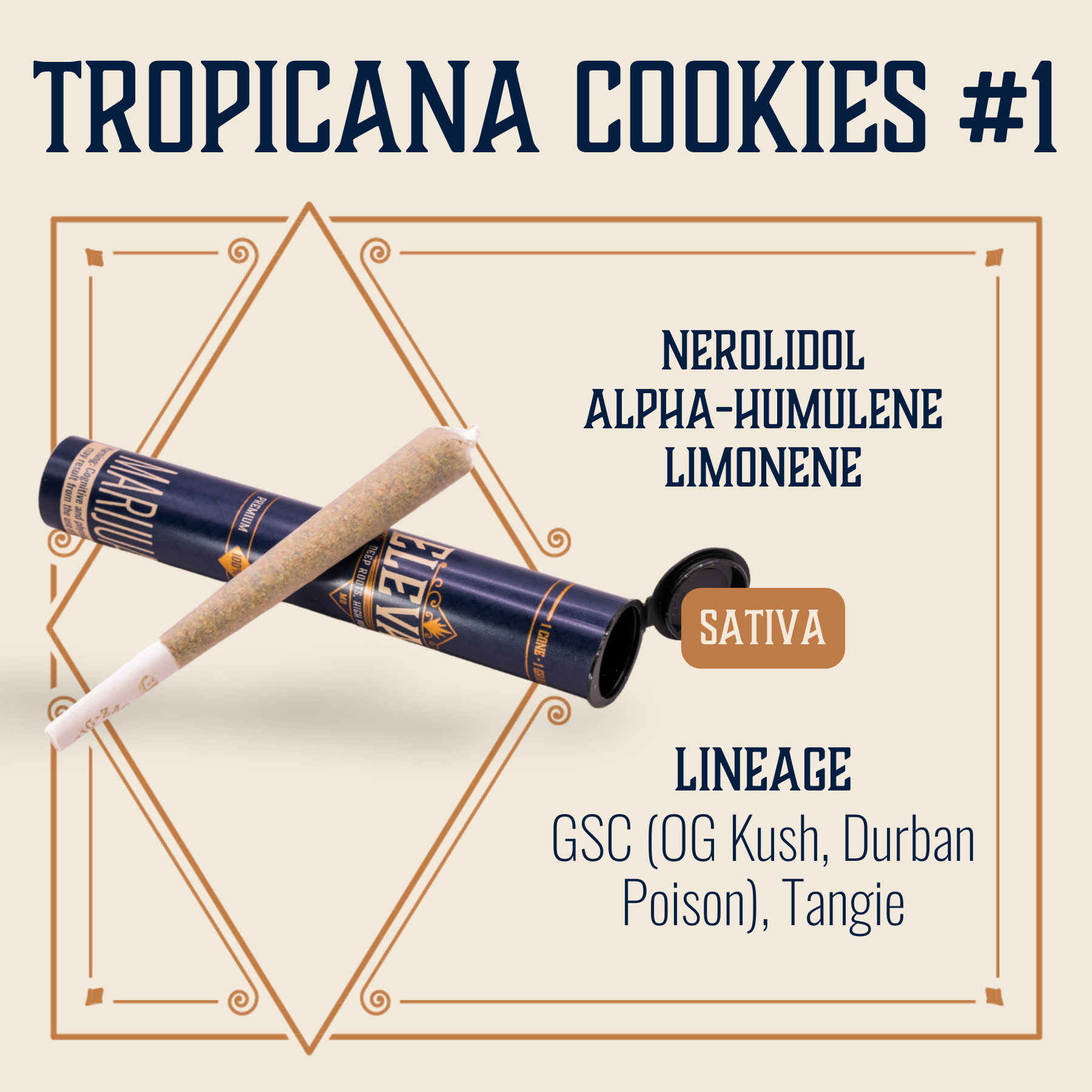 Photograph of product: Tropicana Cookies #1 Pre-Roll | 1g