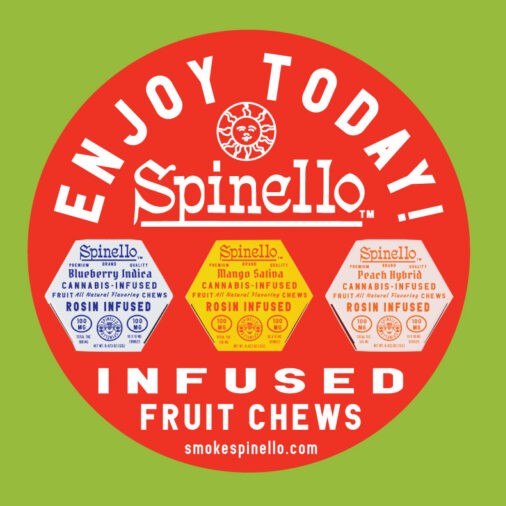 Photograph of Product: Blueberry 2pk Fruit Chew 100MG (Spinello)