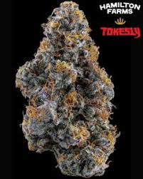 Photograph of product: Tokesly x Hamilton Farms Kush Berry Burger - 3.5g