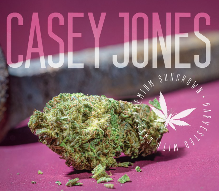 Photograph of product: Casey Jones - Buds - 28g
