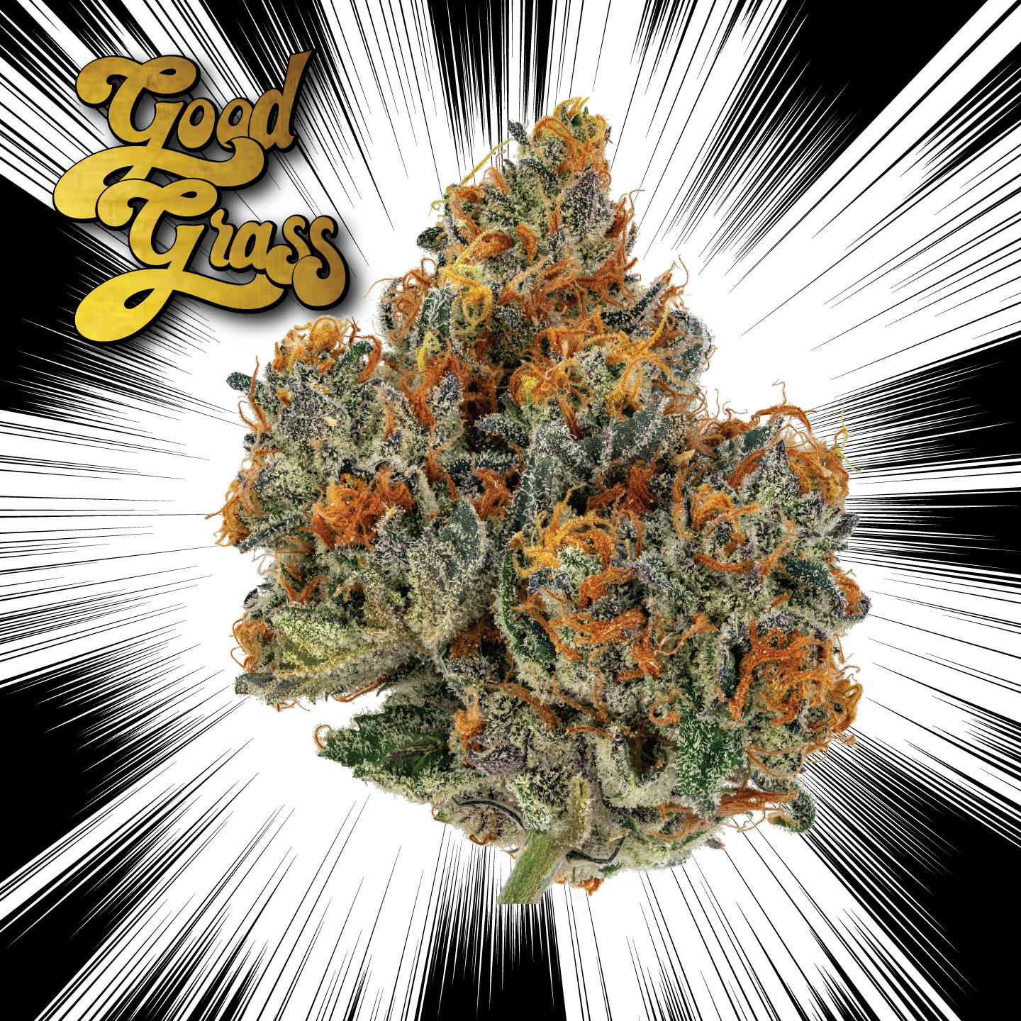 Photograph of product: Jokerz Candy | Good Grass - 7g