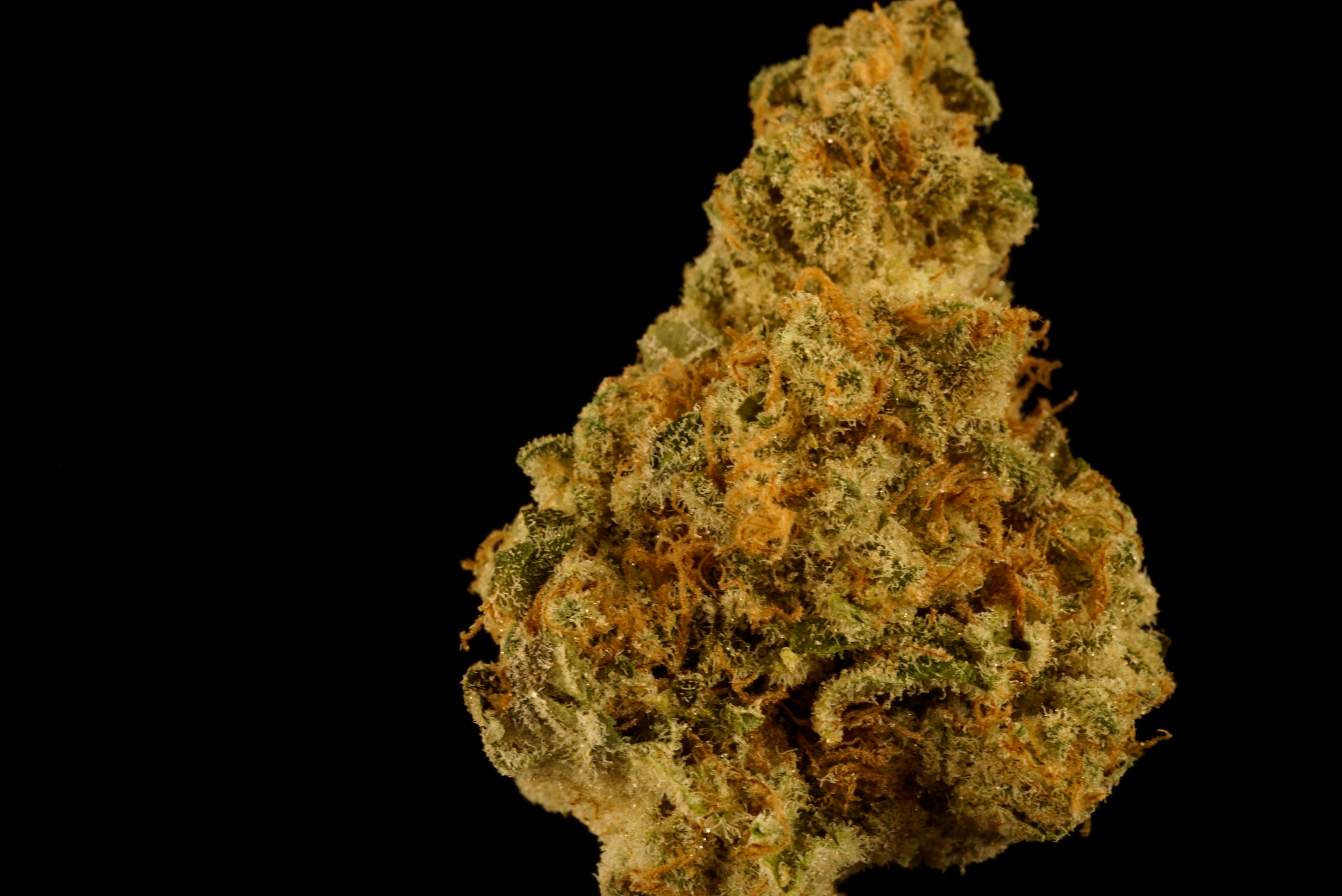 Photograph of product: Strawberry Pines - 1g