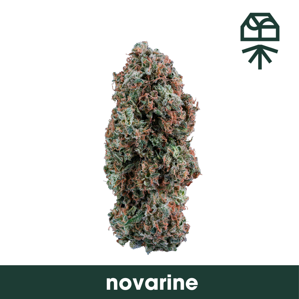Photograph of product: Novarine Whole Flower - 14g