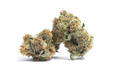 Photograph of product: KINDLY 8" BAGEL 7G