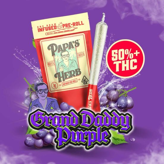 Photograph of product: Papa's Herb - Grand Daddy Purp (1g) Infused Preroll 1g - 