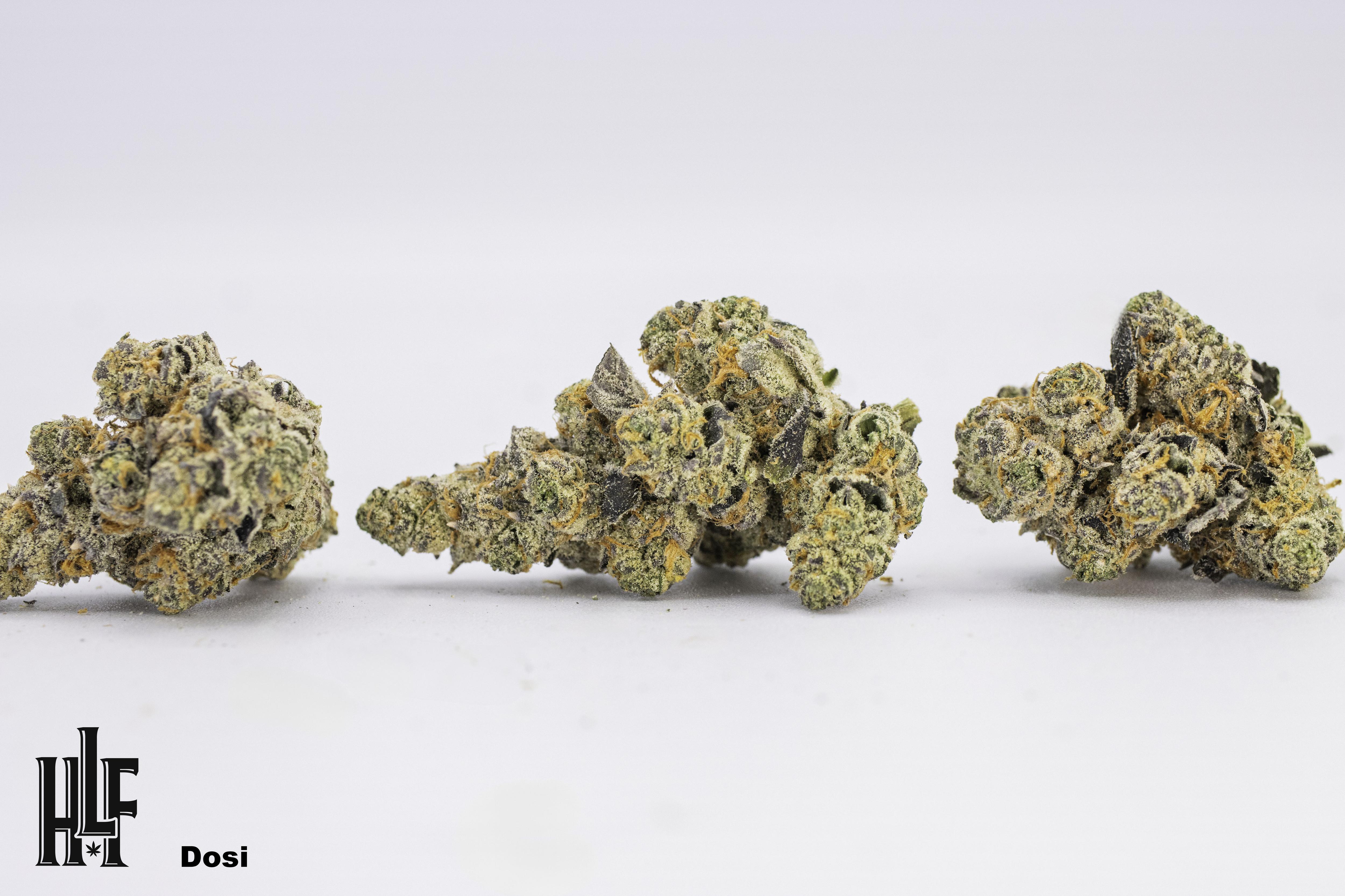Photograph of product: Dosi Do | Bulk Flower | High Life Farms - 28g