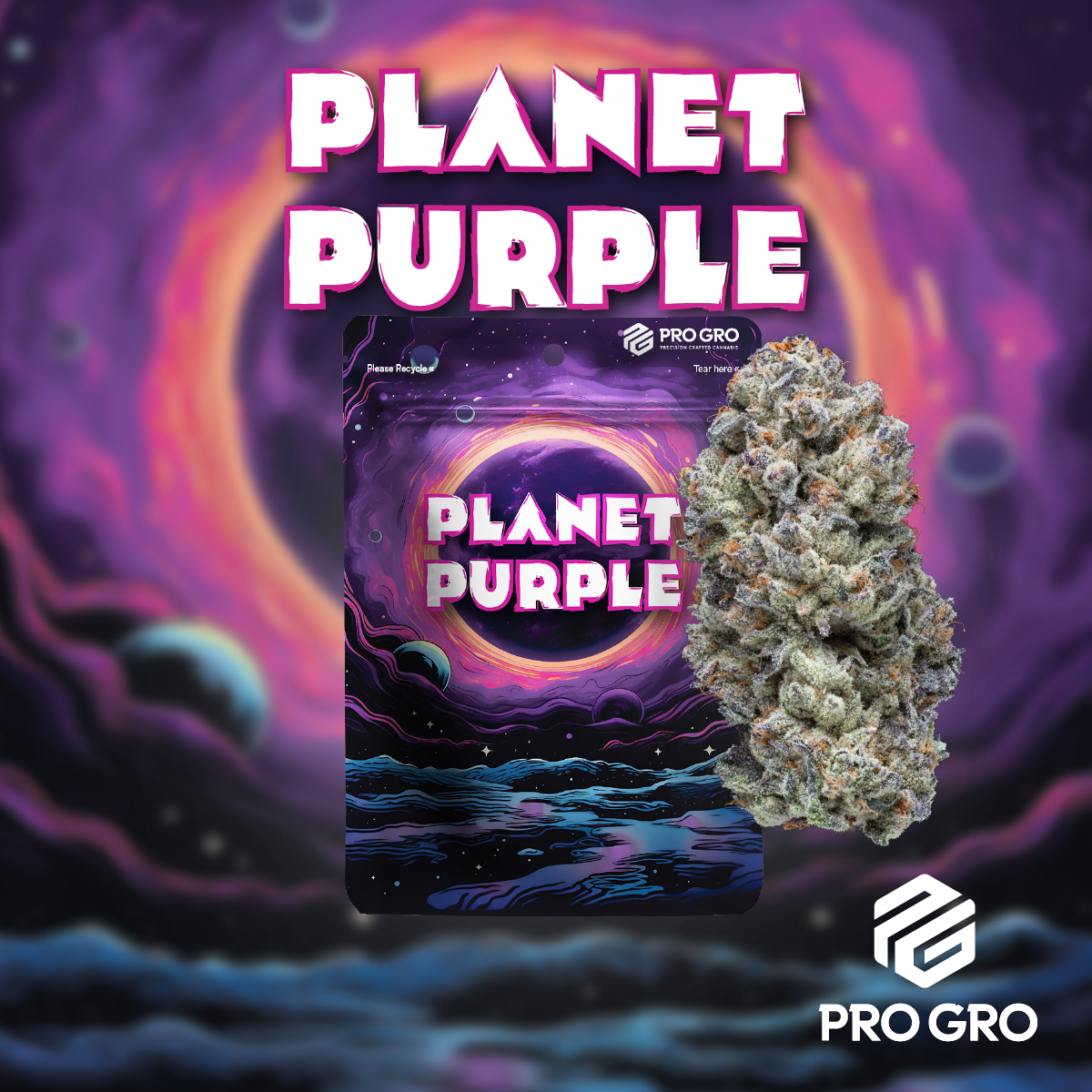 Photograph of product: PRO GRO | PLANET PURPLE | HYBRID | PRE-PACKAGED 1/8 | 3.5G