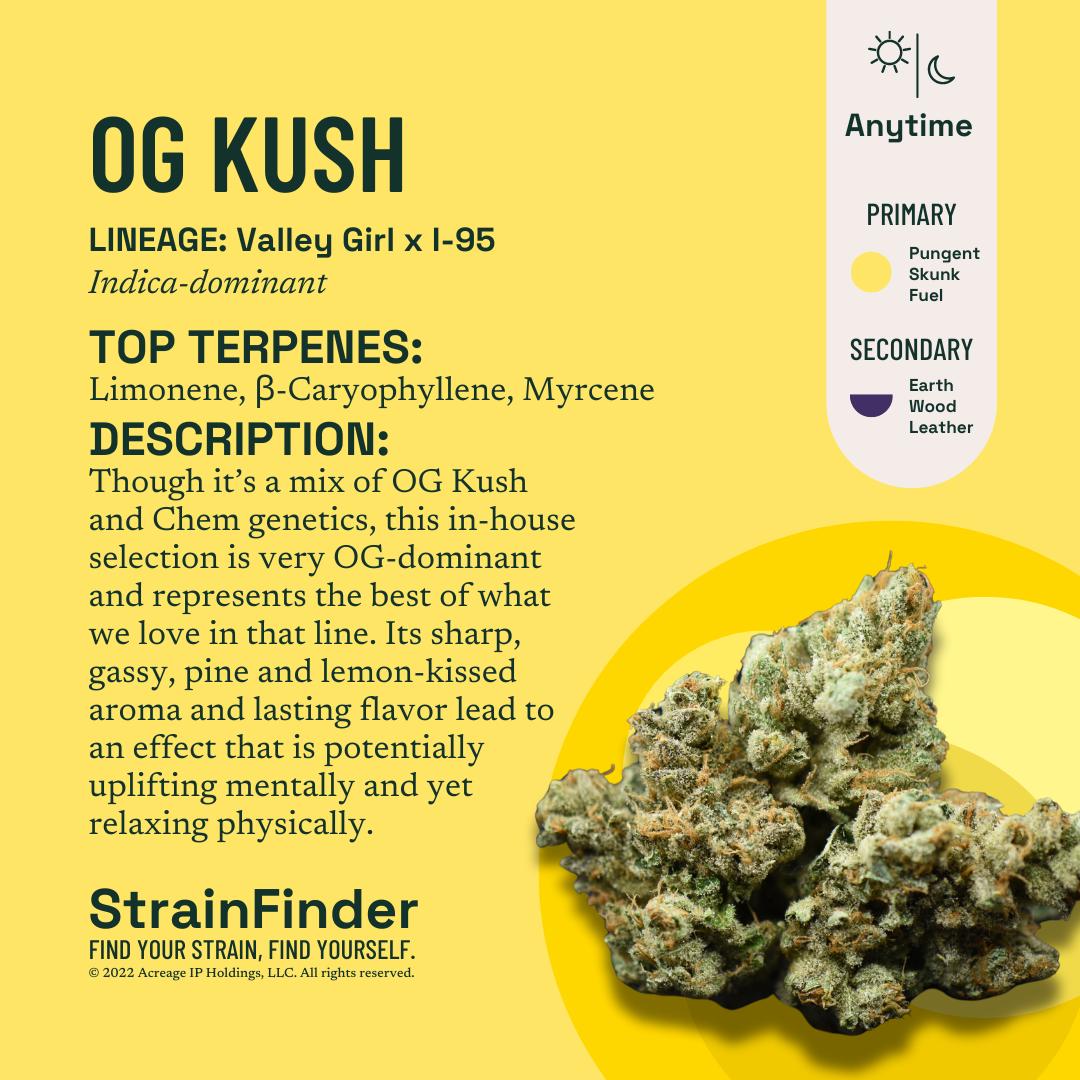Photograph of product: Botanist | OG Kush (H) | 3.5g Whole Flower