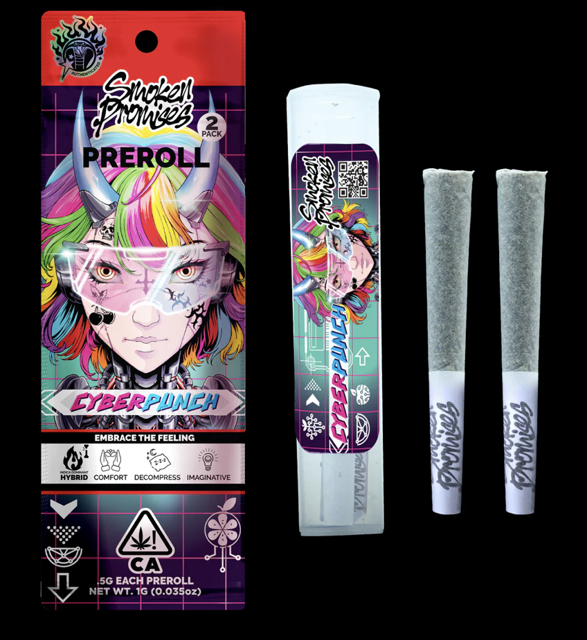 Photograph of product: Cyberpunch 2 Pack