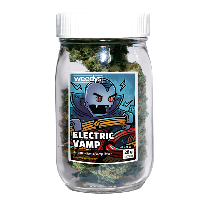 Photograph of product: Electric Vamp | 1oz | Stash Jar - 28g