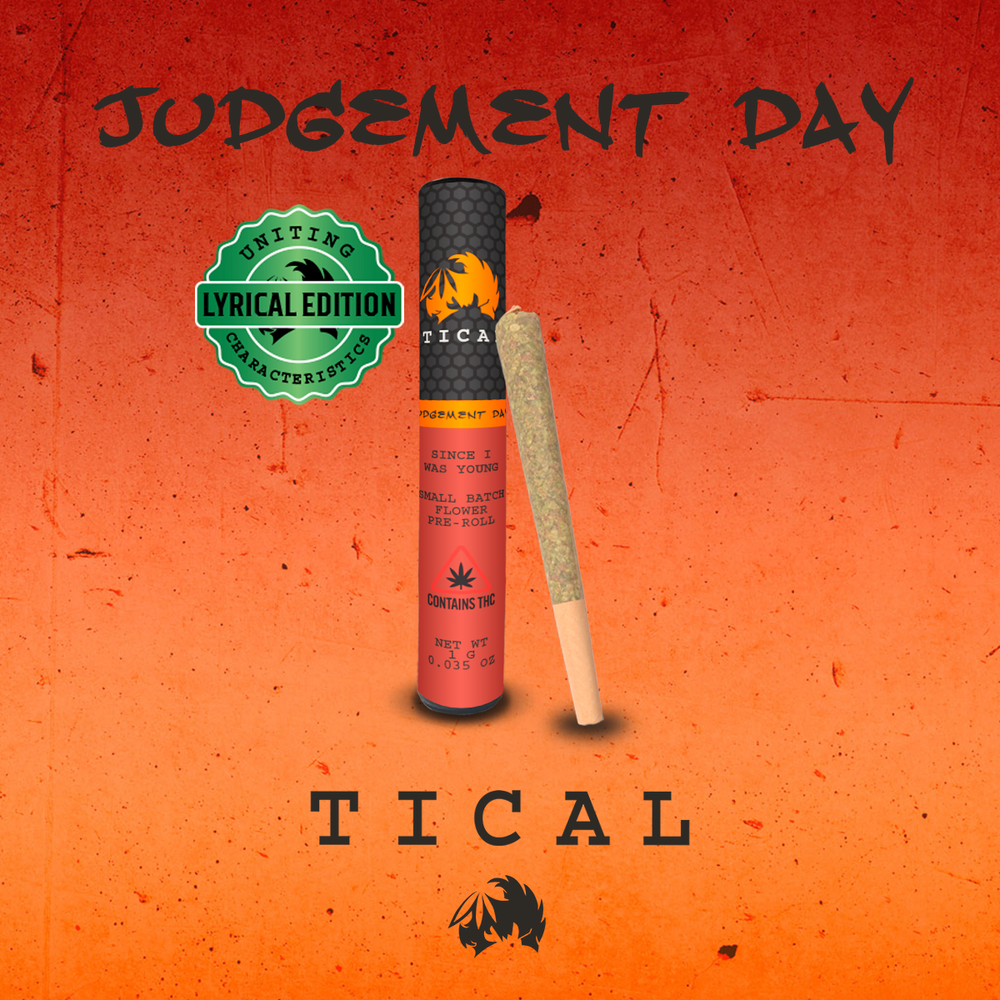 Photograph of product: Tical - Judgement Day - PR