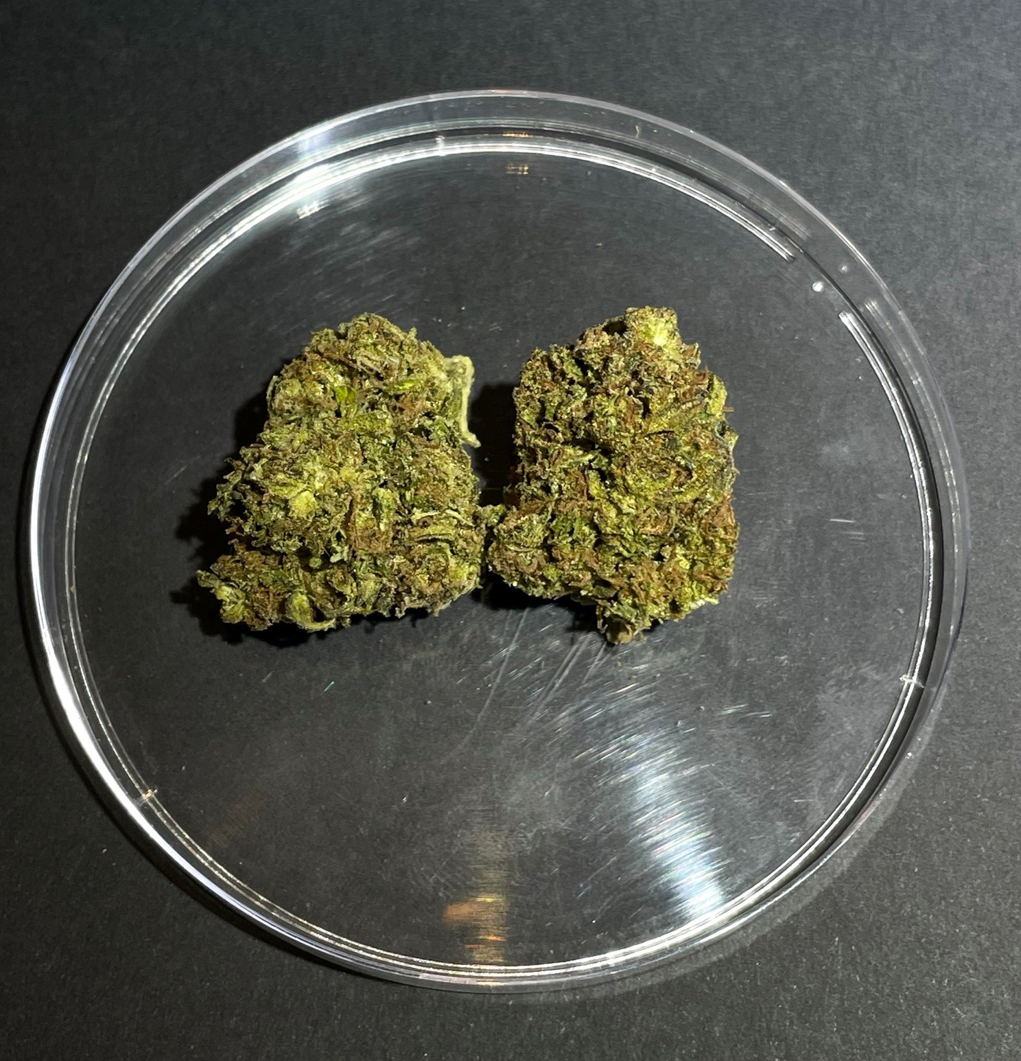 Photograph of product: Mars Moss - 28g