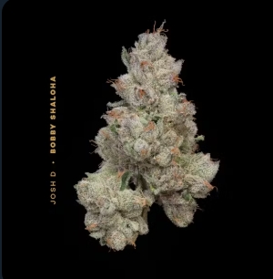 Photograph of product: Bobby Shaloha | 14.15g
