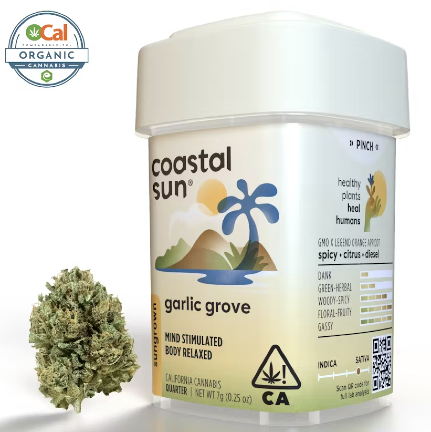 Photograph of product: Coastal Sun Sungrown 7g Quarter - Garlic Grove (S)