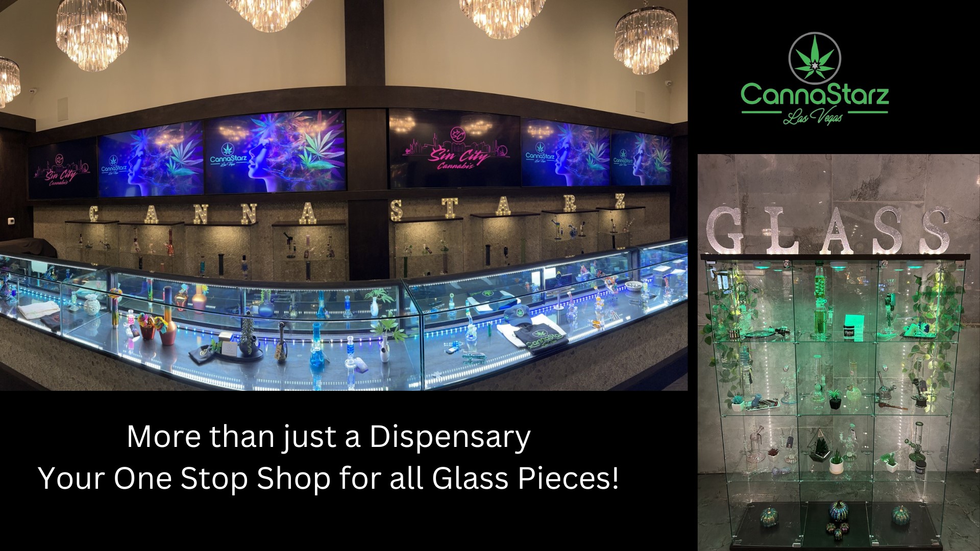 Photograph of product: OCB X-PERT