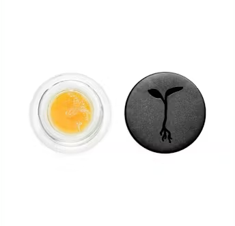 Photograph of product: GMO GLUE - 1 G