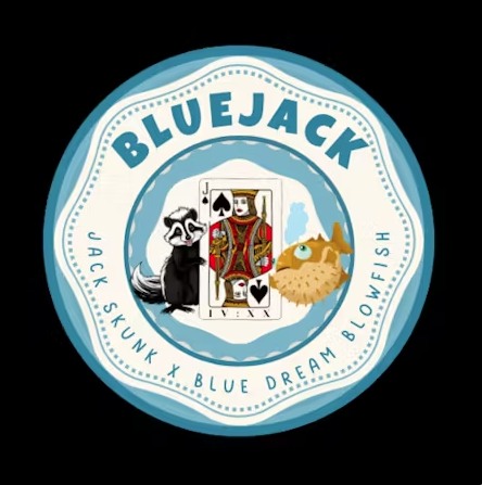 Photograph of product: Blue Jack - Cured Resin 2g
