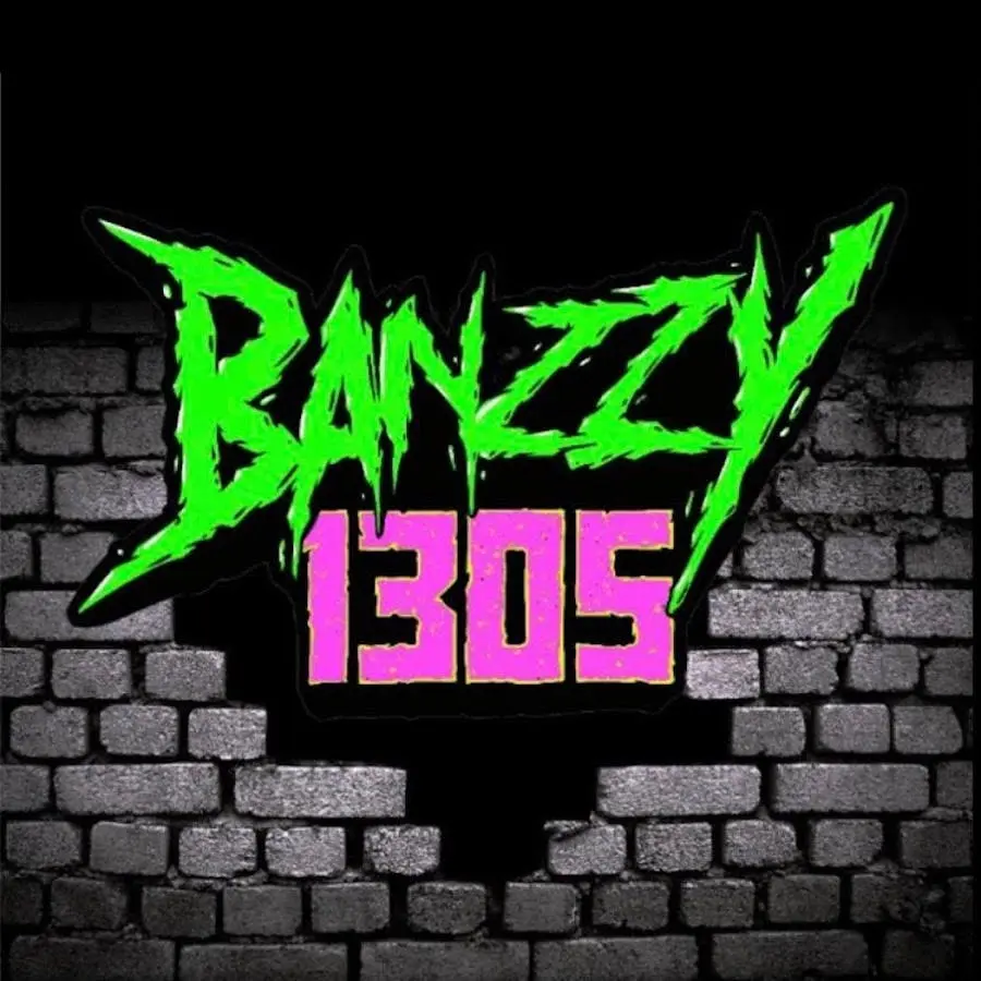 Photograph of product: Banzzy 1305 - Mixed Blend - pre-roll