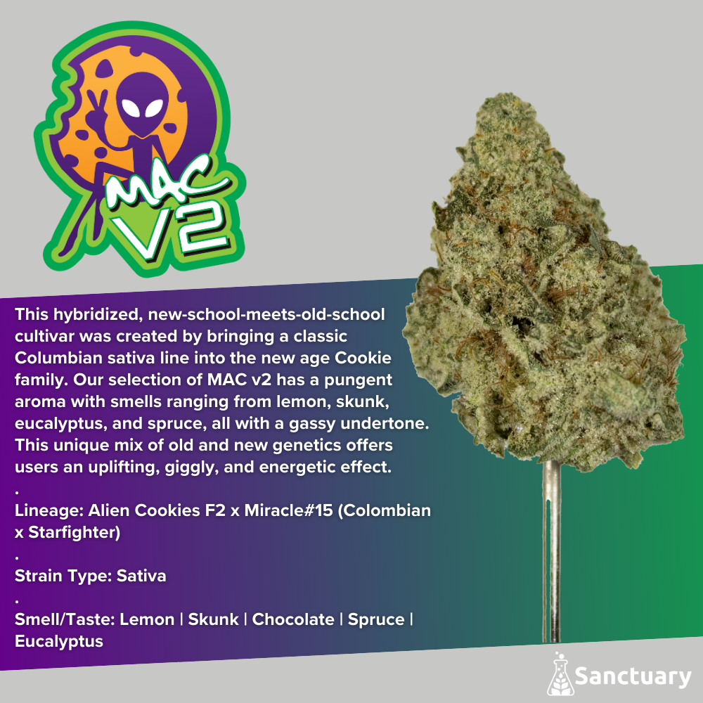 Photograph of product: MAC v2 Flower | 3.5g - Sanctuary