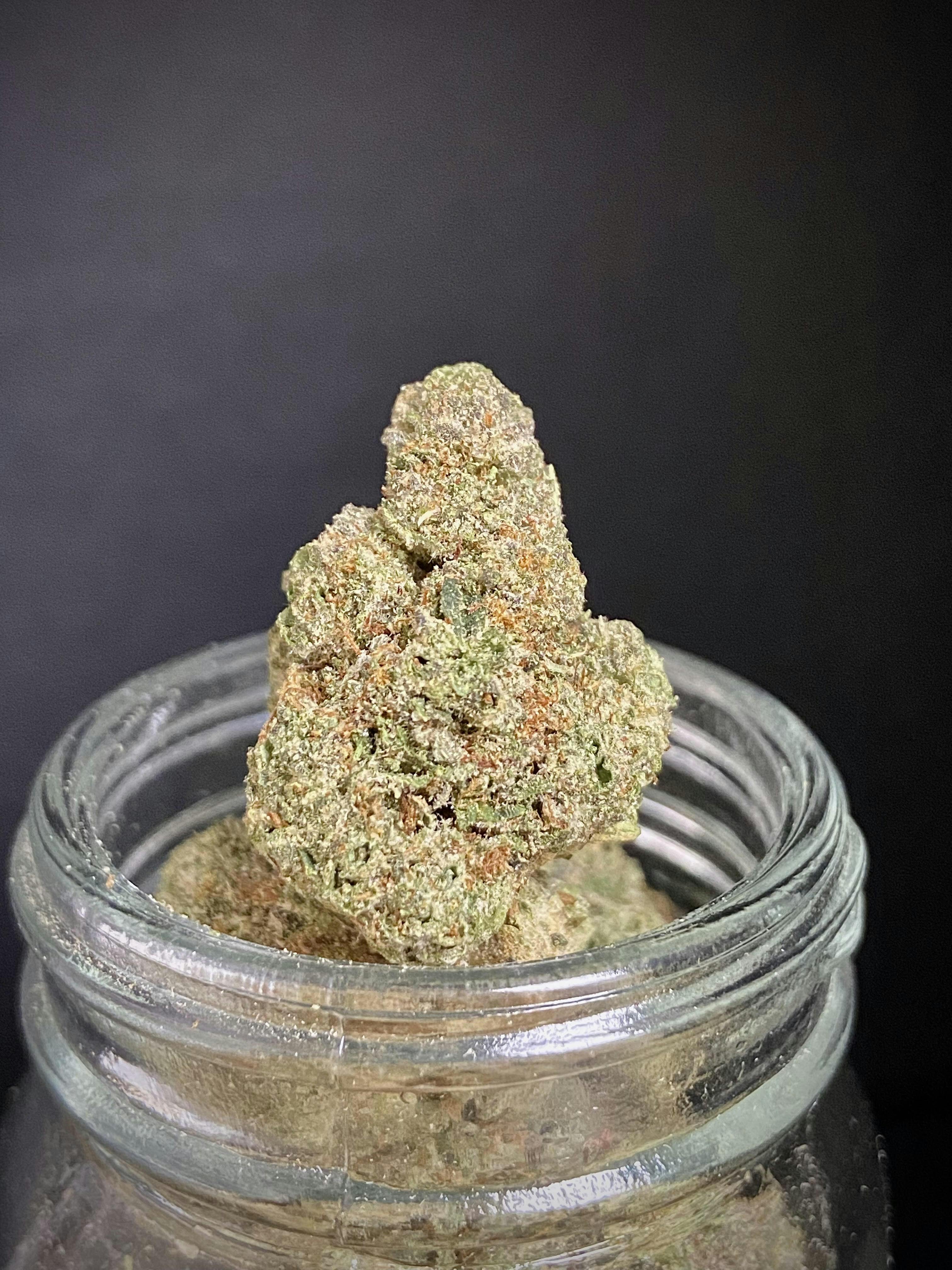 Photograph of product: Loyalty Runtz (Loyalty Farms) "GOLD SHELF"