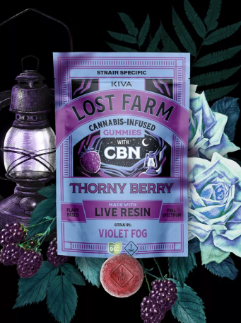 Photograph of product: Violet Fog x Thorny Berry | 1:1 CBN:TH-oui | Live Resin Gummies | 10 x 10mg