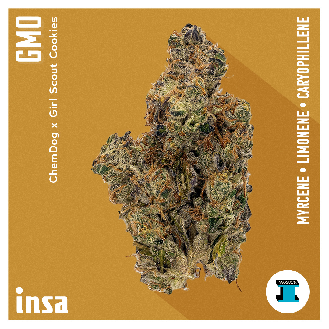 Photograph of product: INSA | GMO - 28g