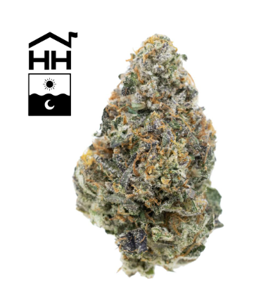 Photograph of product: Coal Creek Kush - 7g