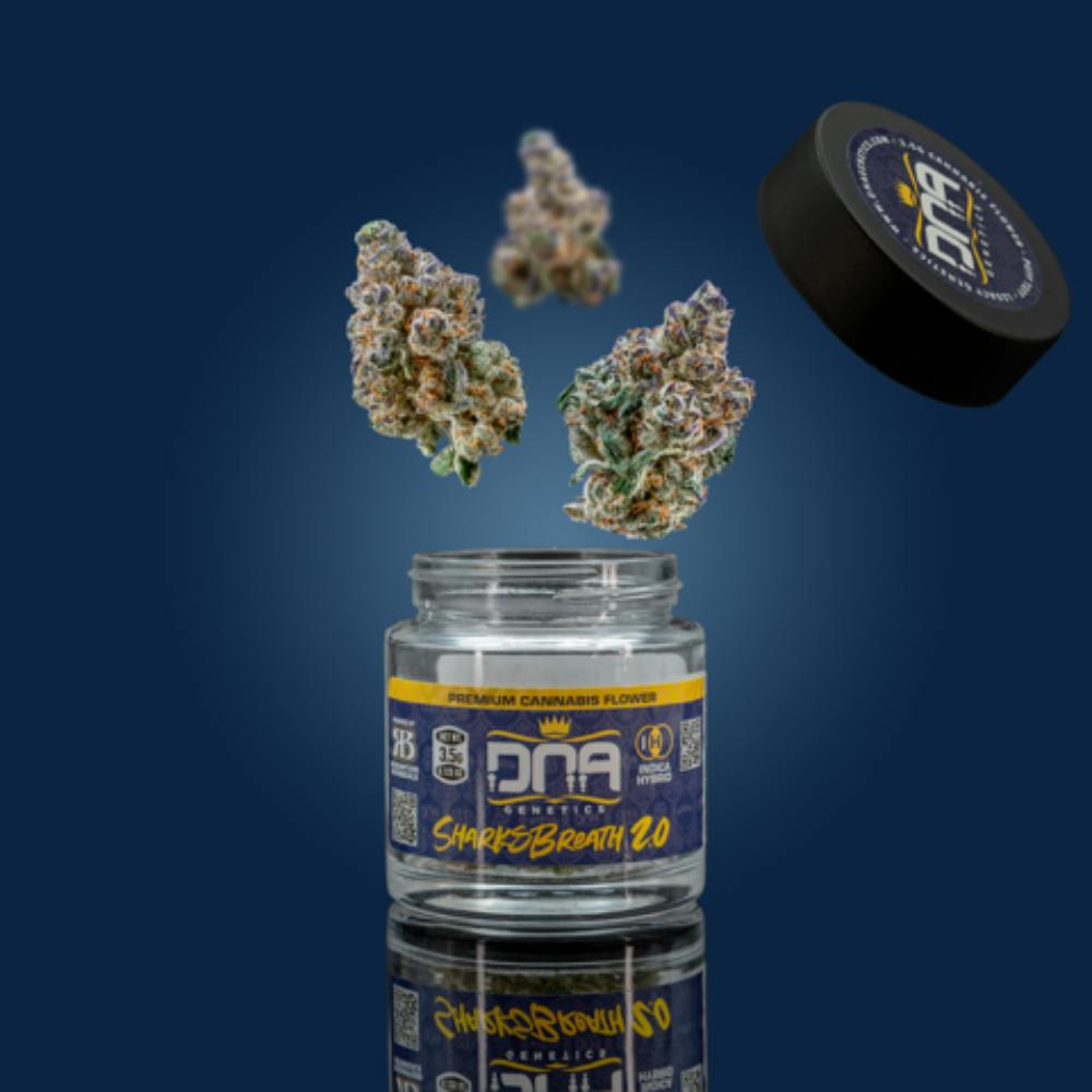 Photograph of product: DNA GENETICS Sharksbreathe 2.0 1/8 - 3.5g