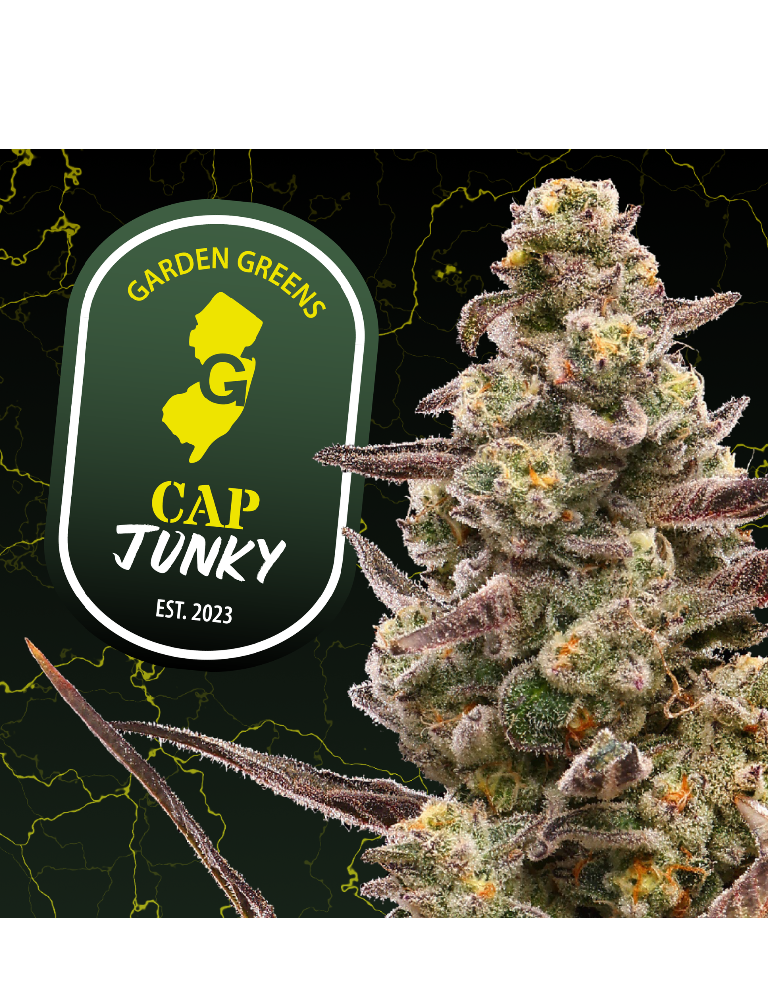 Photograph of product: GG - Cap Junky - Bud - 3.5g