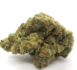 Photograph of product: Cap Junky | Highway Horticulture - 14g