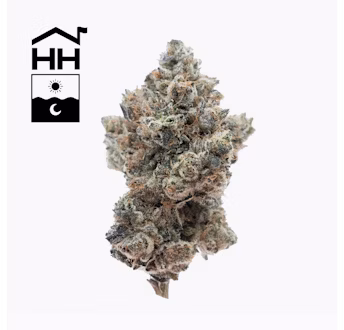 Photograph of product: Seaoui'd #2 (TAX INCLUDED) - 28g