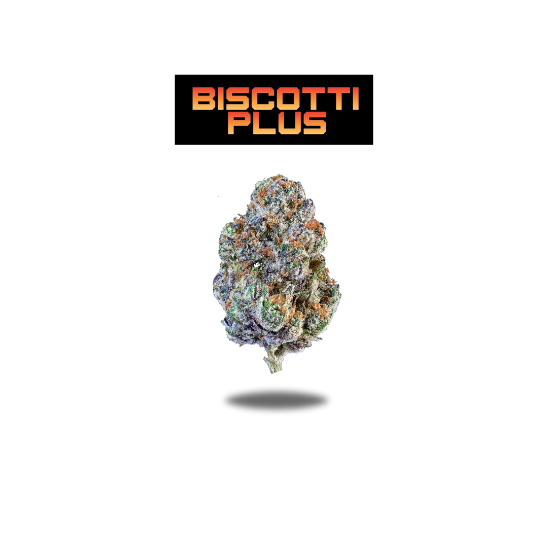 Photograph of product: Oakfruitland - Biscotti Plus (Oui'd) Flower - 7g