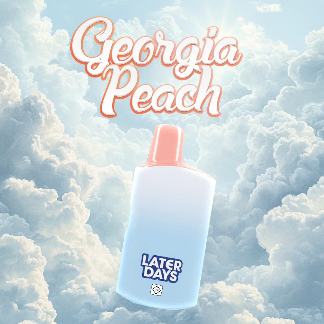 Photograph of product: Georgia Peach Disposable Vape (H) [2g] - 