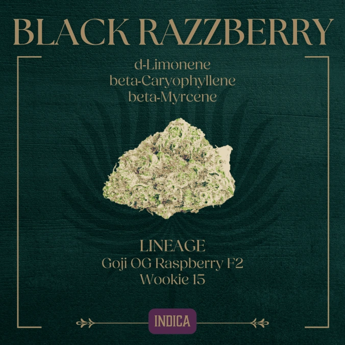 Photograph of product: Black Razzberry - 3.5g