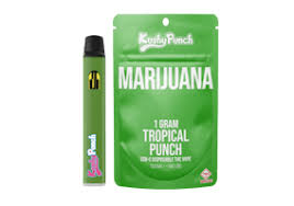 Photograph of product: 1g - Kushy Punch - Tropical Punch - Disposable Vape