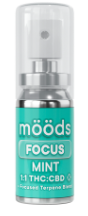 Photograph of product: MINT [H] FOCUS 1:1 (CBD:TH-oui) SPRAY - 500 MG