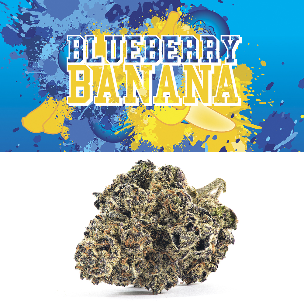 Photograph of product: Cookies Greenhouse Blueberry Banana 3.5g