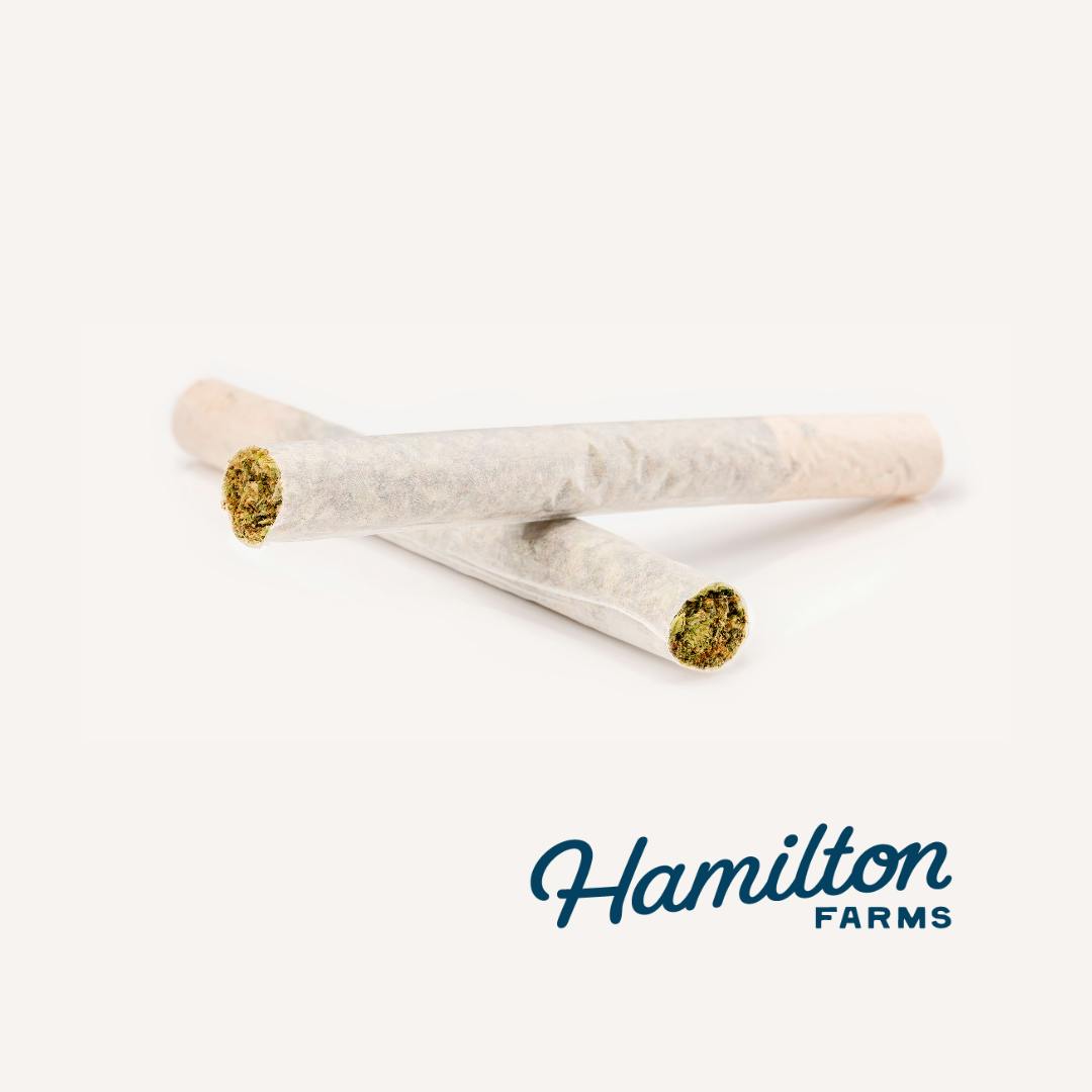Photograph of product: Hamilton Farms - Kiwi Candy - Pre-Rolls - 1g/2pk