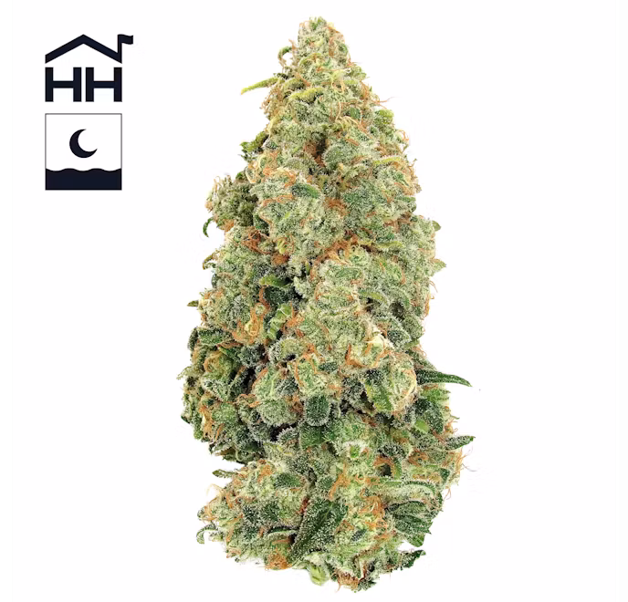 Photograph of product: Papaya Cake Strain I Flower 3.5g - Discover