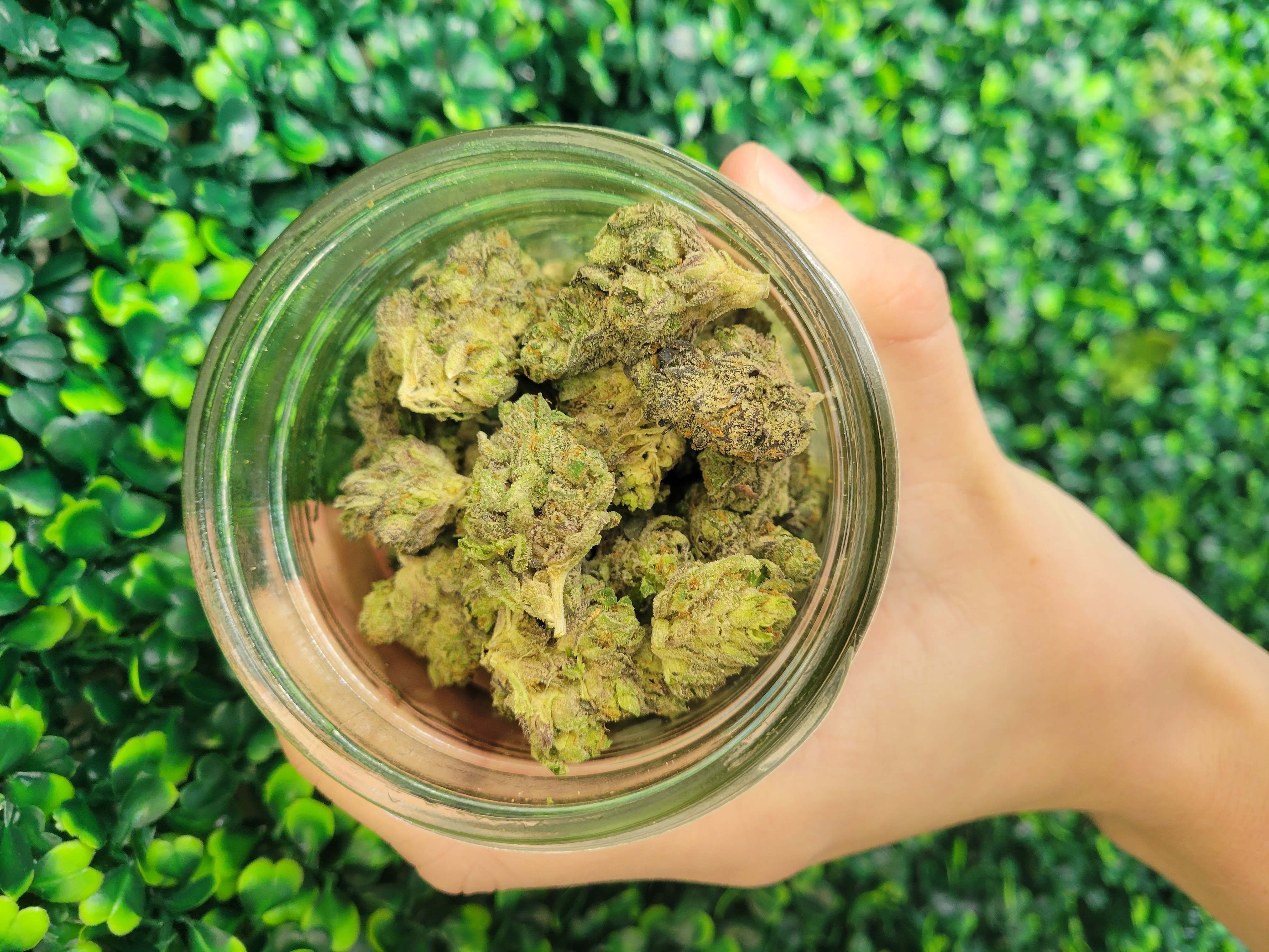 Photograph of product: Delta Diamonds | B-buds - 28g